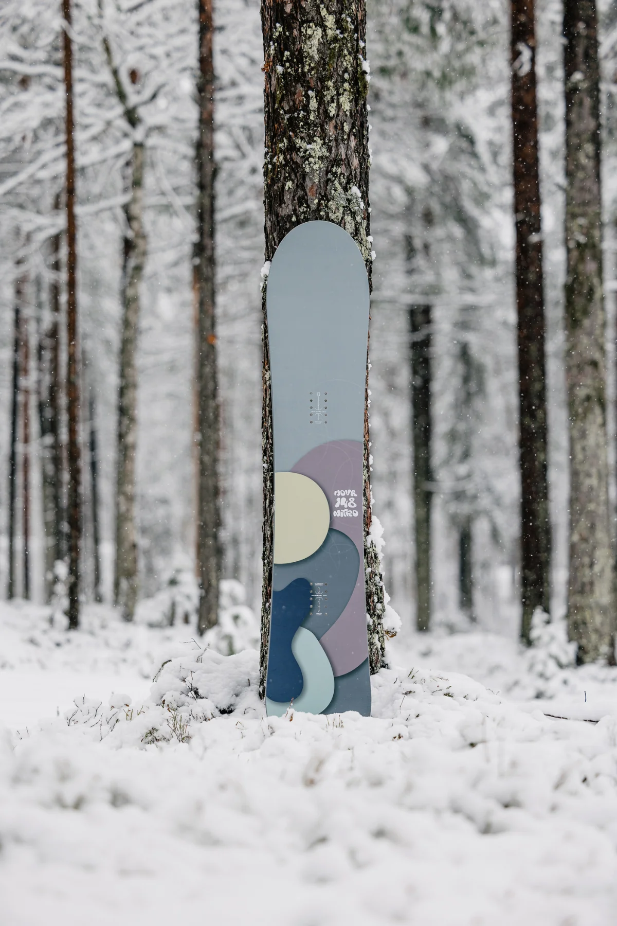 Nitro - For discount - Wholesale