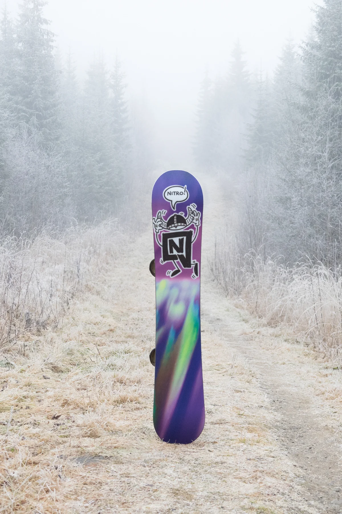 TEAM PRO MK - Image 3